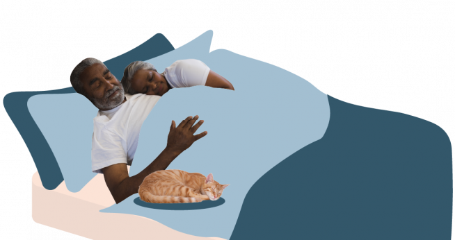 Two people and a cat in bed sleeping